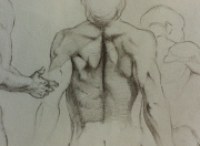 Anatomy-2.jpg