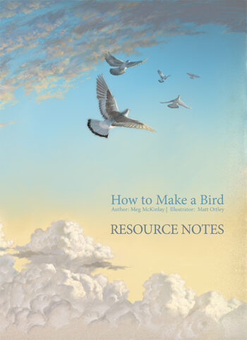 Resource notes cover for How to Make a Bird